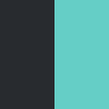 Black / Tropical Tide