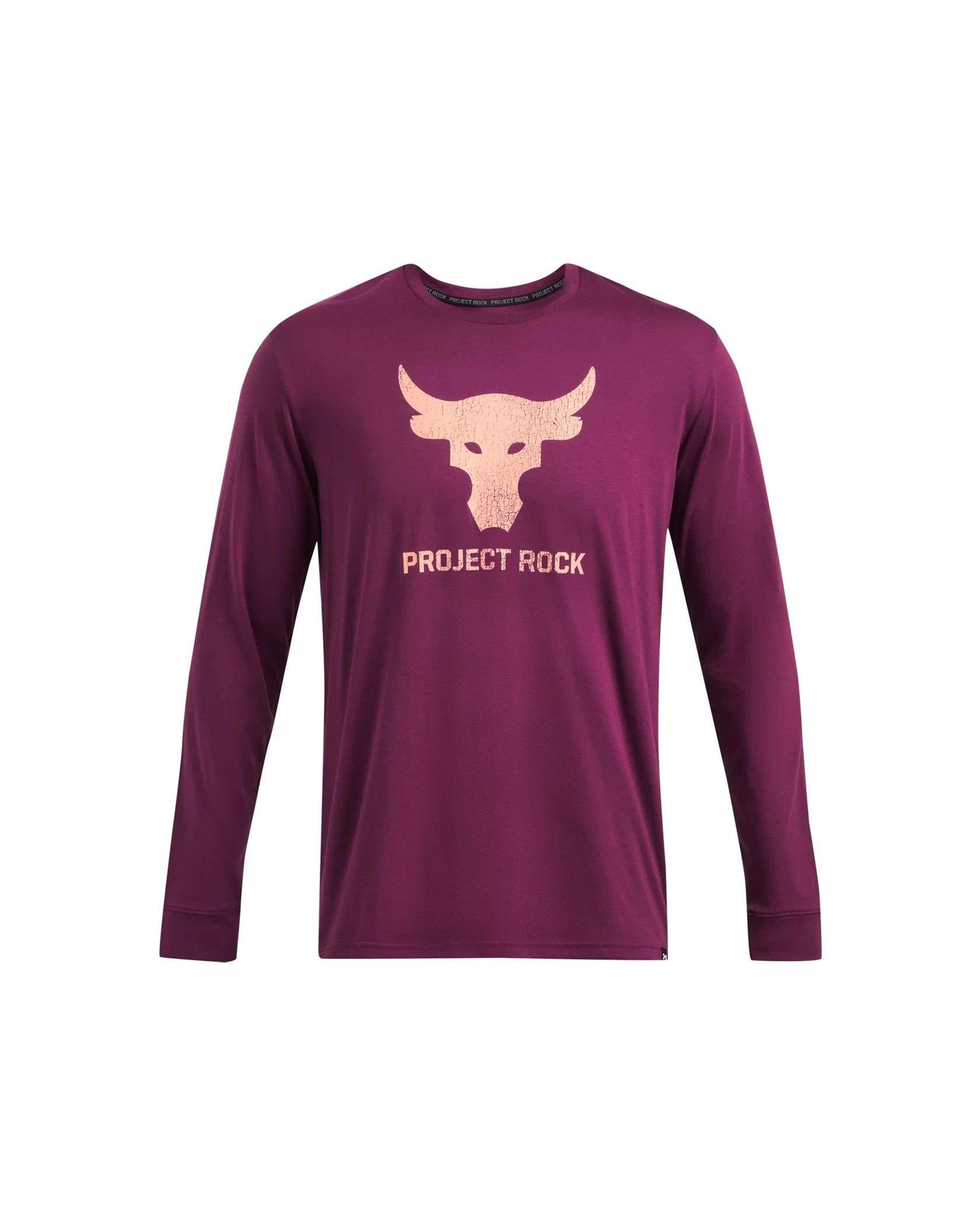 Armour Rock Brahma Bull Project Rock Tee Shirts UA Men's Project Rock  Brahma Bull Long Sleeve