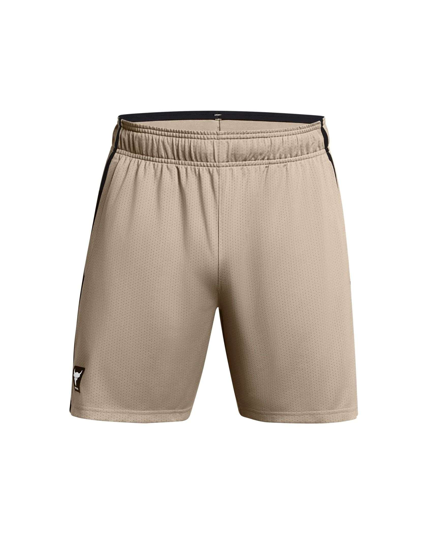 UA Project Rock Payoff Mesh Shorts