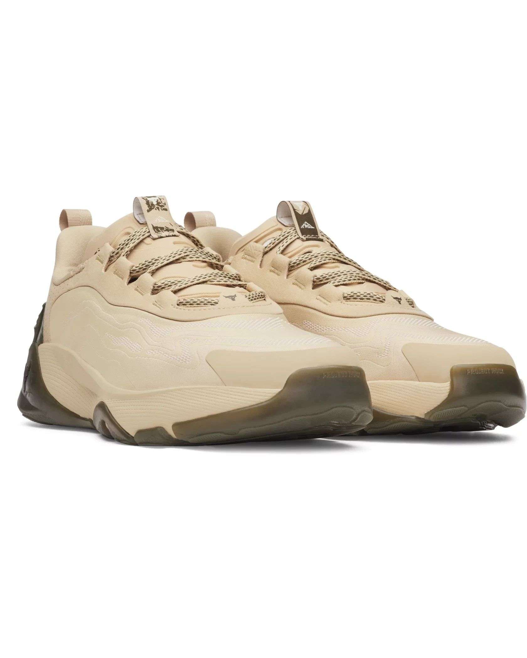 UA Men's Project Rock Training Shoes