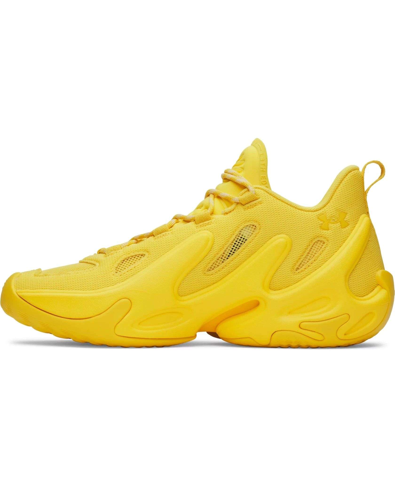 UA Men's CURRY 13 AP Shoes | Under Armour