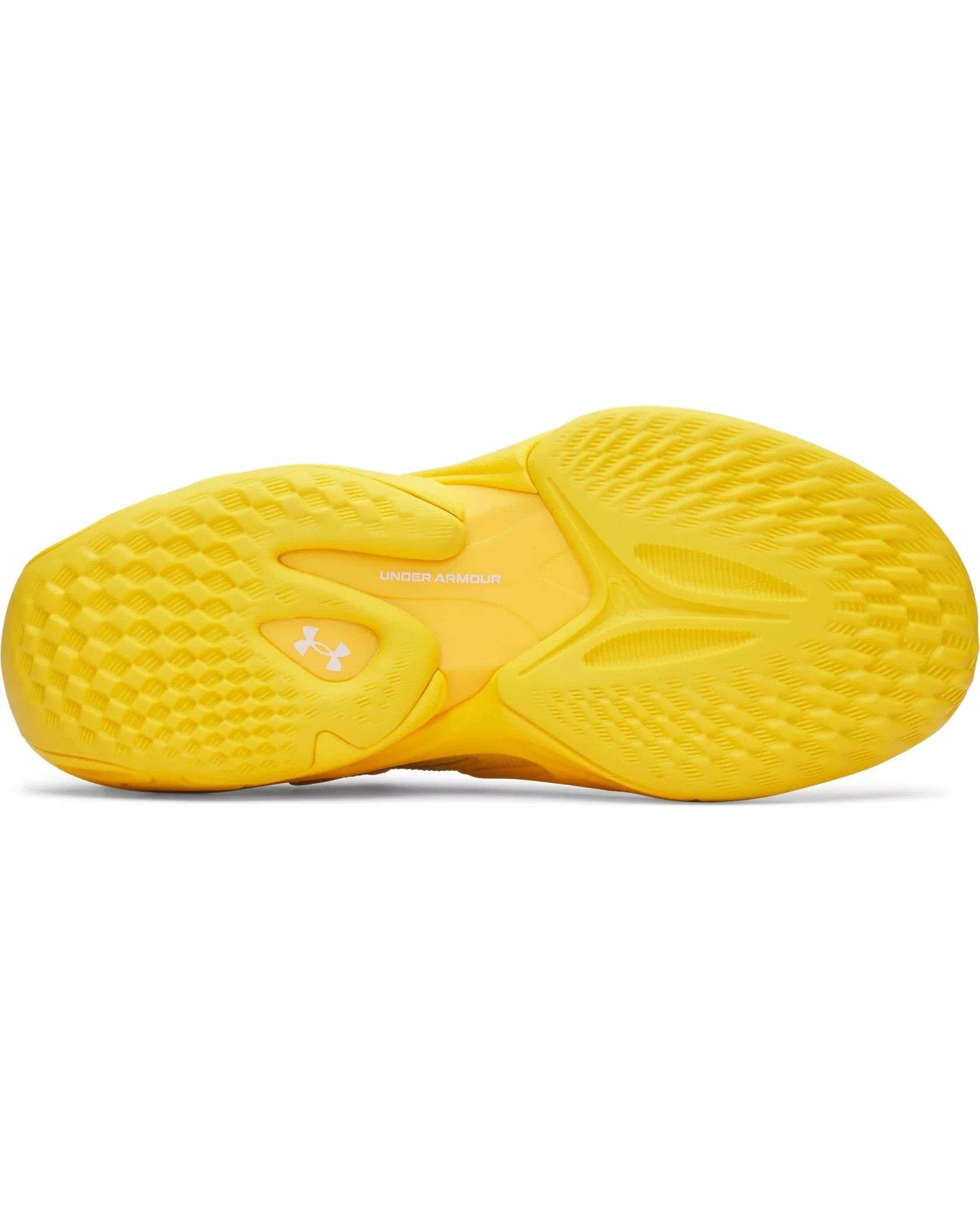 UA Men's CURRY 13 AP Shoes | Under Armour