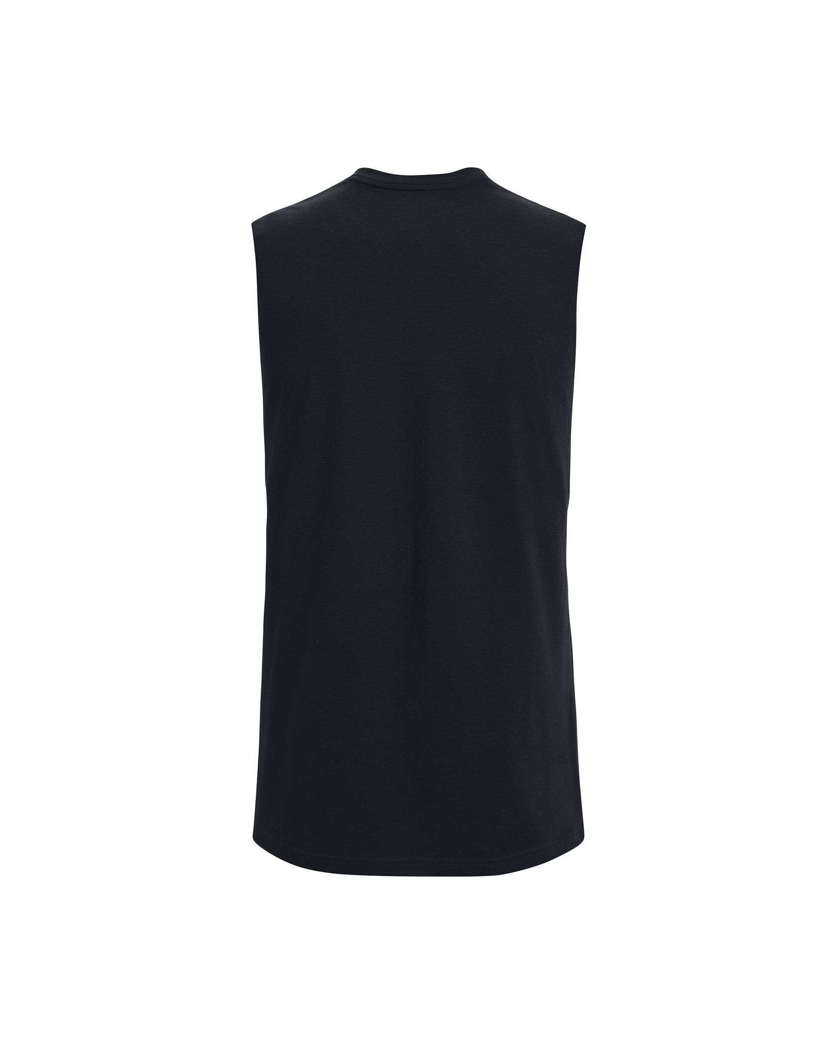 Tシャツ・カットソー [Under Armour] CURRY SLEEVELESS T-SHIRT $_12.JPG?set_id=880000500F